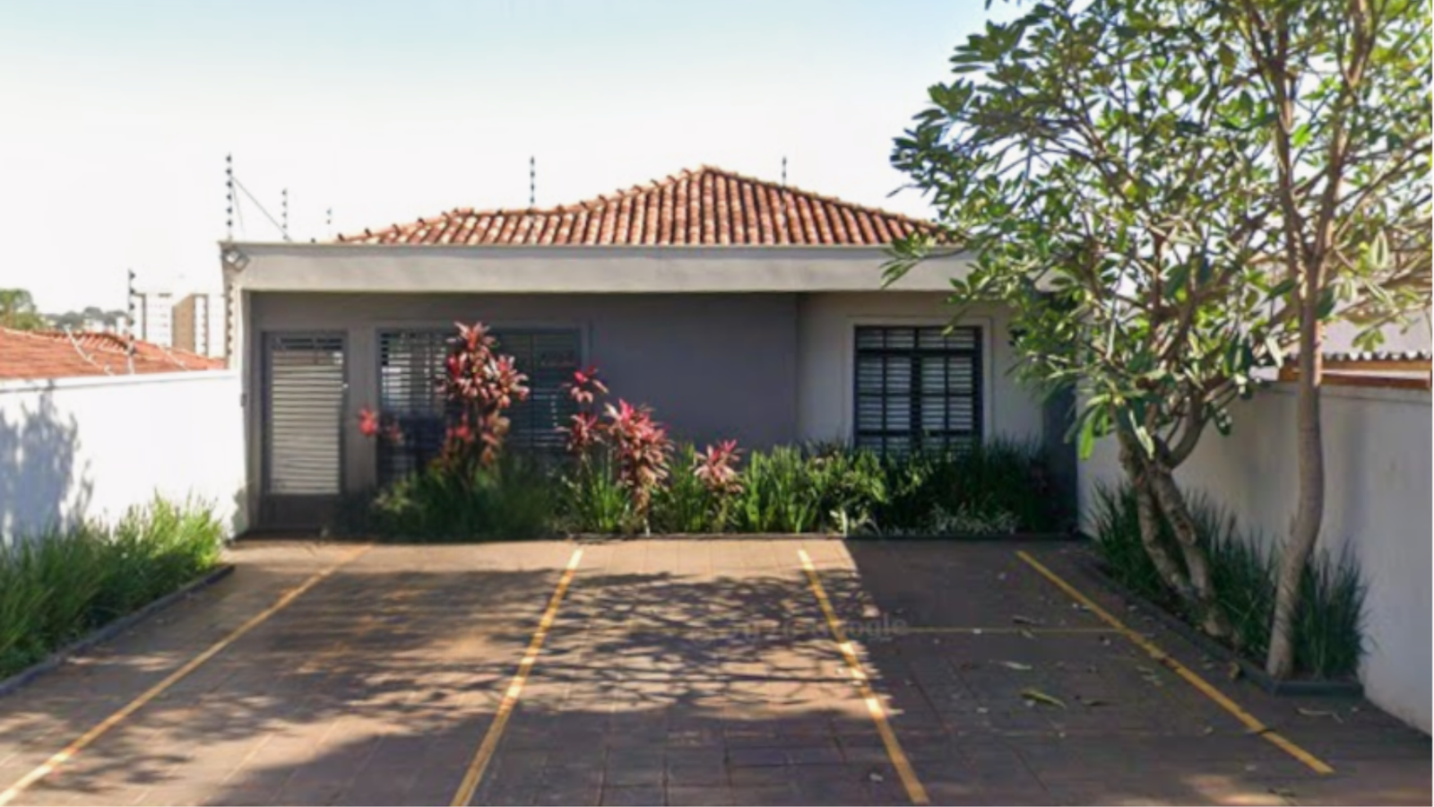 Instituto Carla Gonçalves