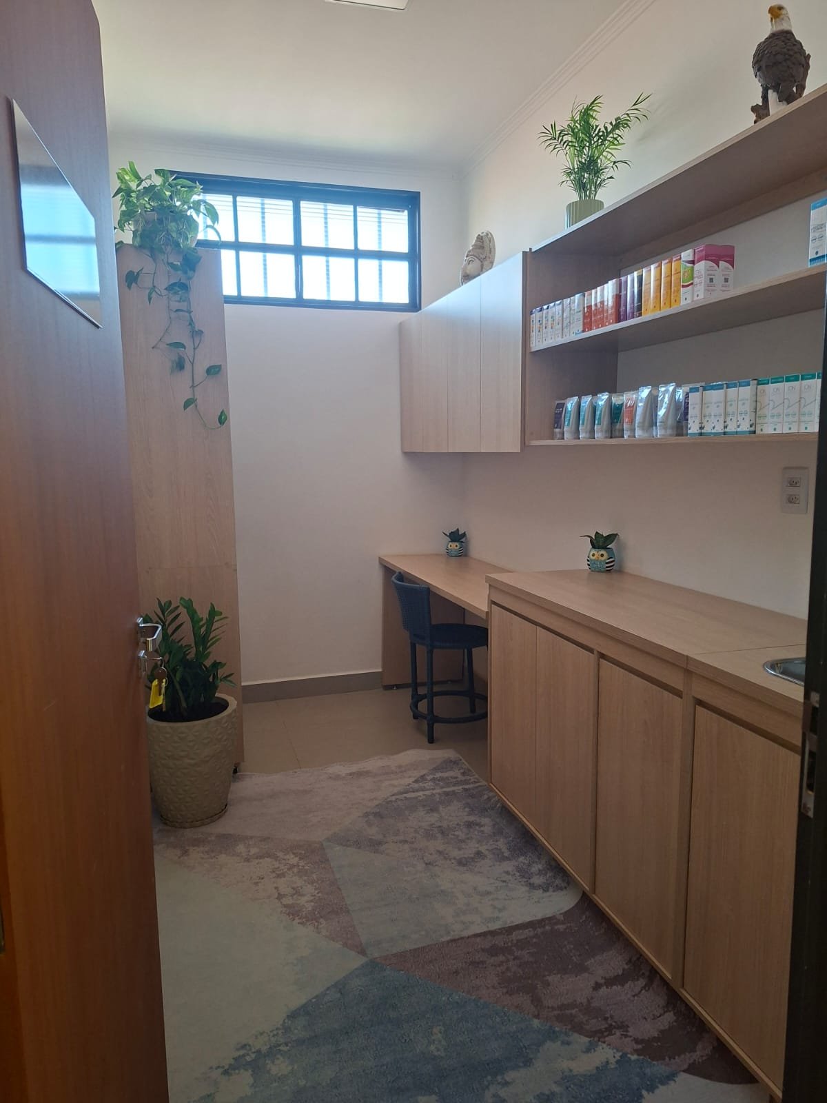 Instituto Carla Gonçalves